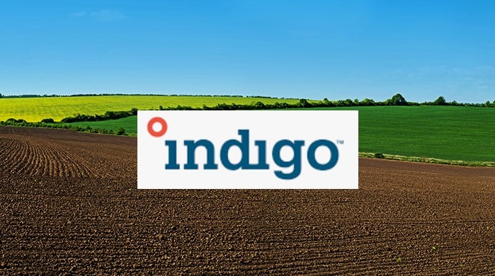 Indigo Ag raises $250M to boost ag carbon credits generation