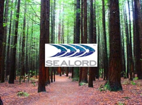 Seafood Giant Sealord Invests $6M in NZ Forest Carbon Offset Project