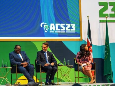 UAE to Power Up African Carbon Credit Market with $450M Pledge