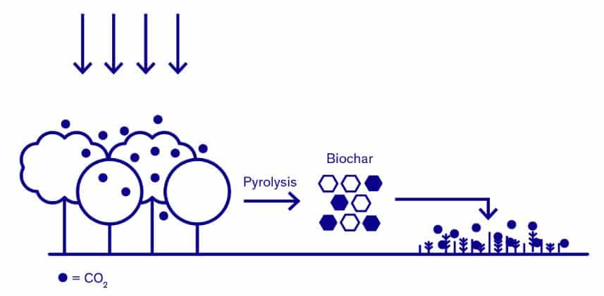 what is biochar