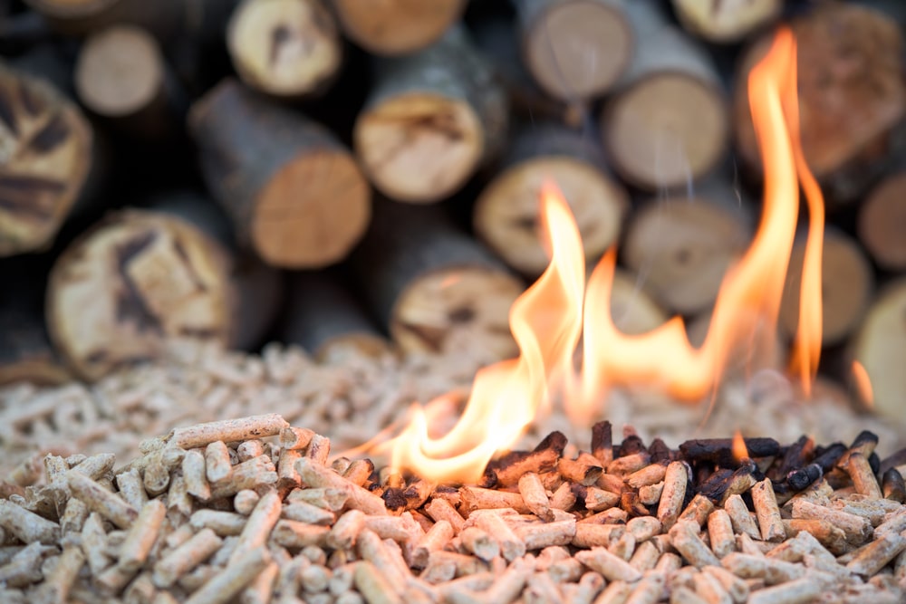 Carbon Direct buyer's guide for sustainable biomass sourcing