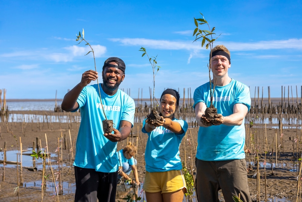 Oman mangrove restoration generates $150M in carbon credits