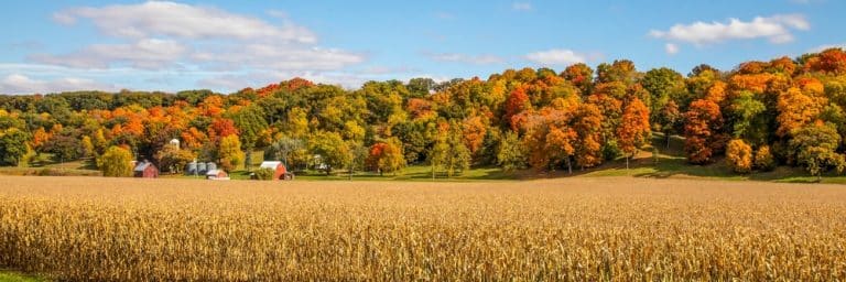 Bluesource’s Carbon Credit Strategy: An Easement Debate Shaping New Hampshire’s Forests