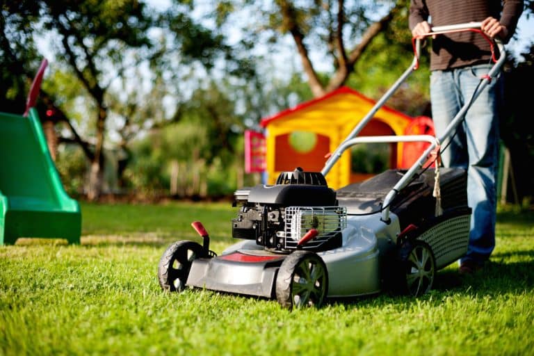 California’s Bold Move: Say Goodbye to Gas Lawn Mowers in 2024