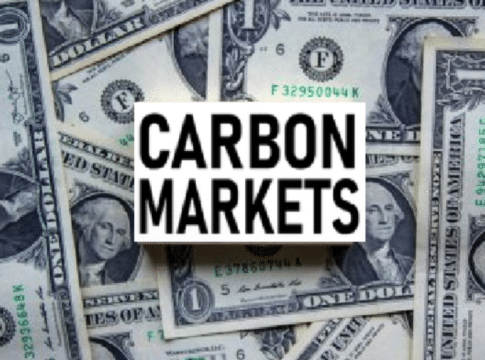 Carbon Prices and Voluntary Carbon Markets Faced Major Declines in 2023, What’s Next for 2024?