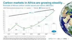 Africa carbon credit