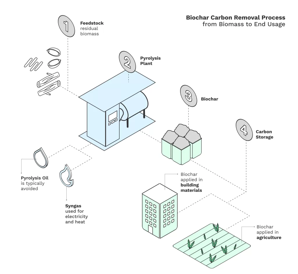 Biochar carbon removal process