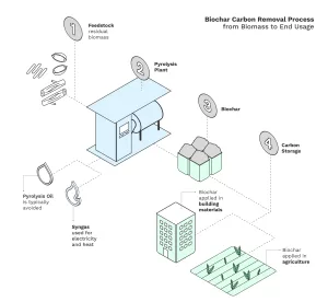 Biochar carbon removal process