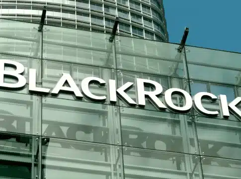 BlackRock’s Insights on 2024 Low-Carbon Transition Investment Trends