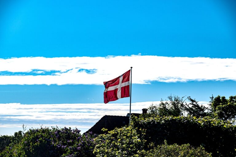 Denmark Made Largest Government CDR Purchase of Almost $24 Million