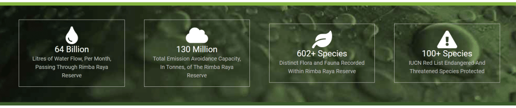 Top 4 Carbon Projects in 2025: The Game-Changers in Climate Action You ...