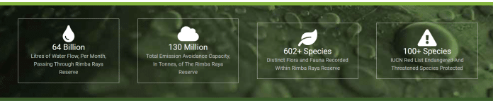 Top 4 Carbon Projects in 2025: The Game-Changers in Climate Action You ...