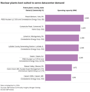 nuclear power plants to serve datacenters demand