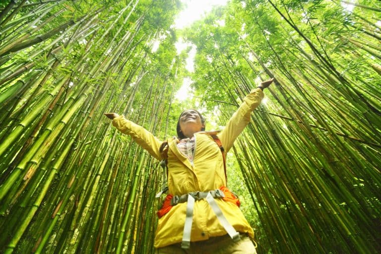 Japan’s Nature-Positive Economic Strategy: A Sustainable Growth Roadmap