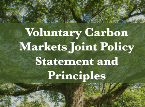 US Government Releases New Voluntary Carbon Credit Market Policy Guidelines