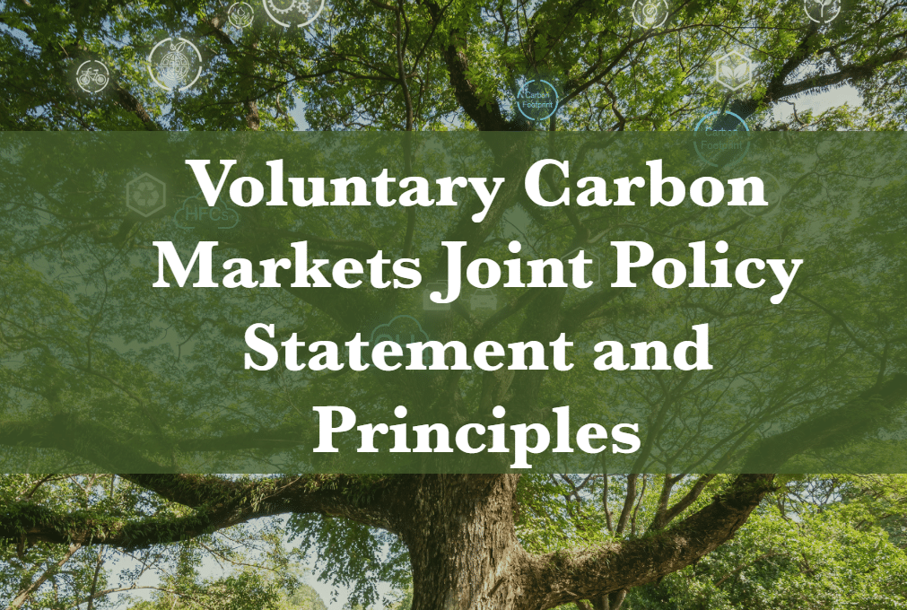 US Government Releases New Voluntary Carbon Market Policy Guidelines