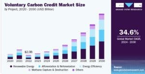 voluntary carbon market