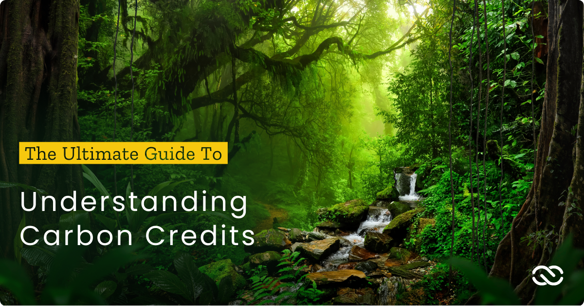 The Ultimate Guide to Understanding Carbon Credits • Carbon Credits