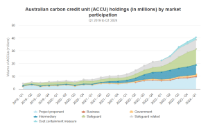 ACCUs holdings by market participation