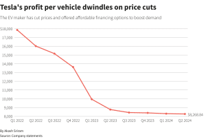 Tesla profit per vehicle