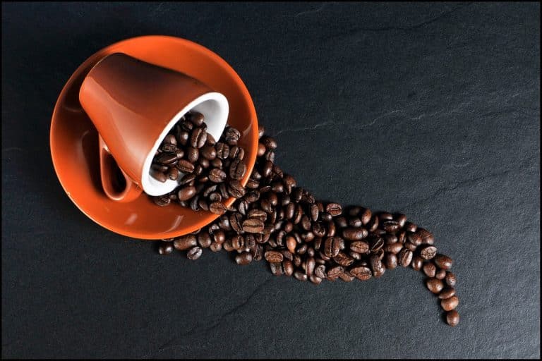 Brew Green: Nestlé Boosts Arabica Supply Chain to Lower Carbon Footprint