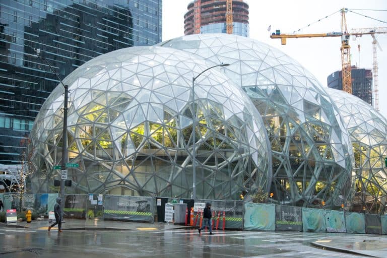 Amazon’s Own Carbon Offset Standard Sparks Concerns Over Market Confusion