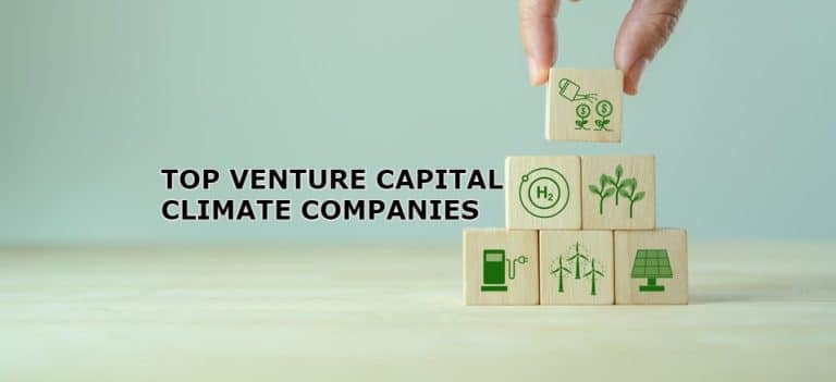 The Top 4 Venture Capital Climate Companies: How Are They Shaping the Green Future?