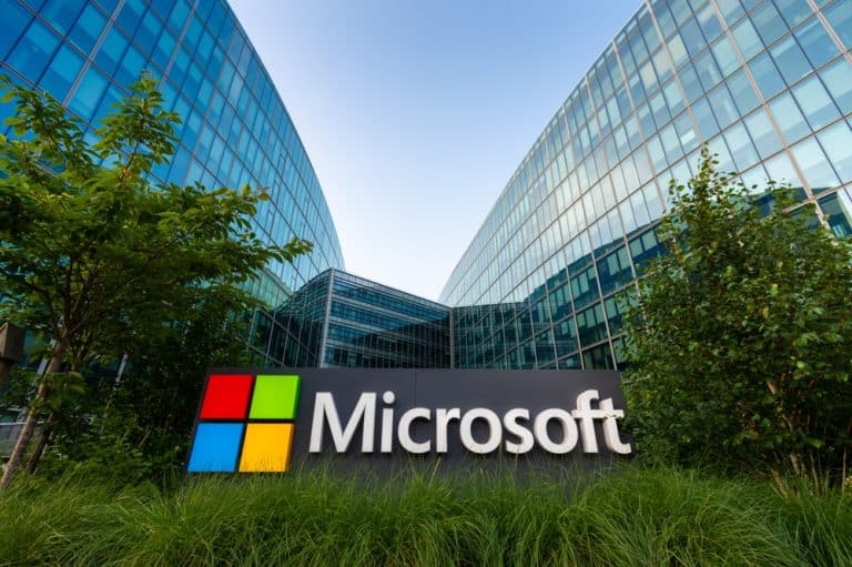 Microsoft’s 234,000 Carbon Credit Purchase Restores Mexican Rainforest