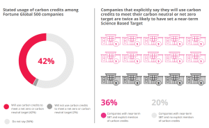 use of carbon credits in Fortune 500 companies climate goals