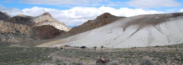 Ioneer’s Nevada Lithium Mine Gets Regulatory Approval Amid the Endangered Buckwheat Flower Controversy