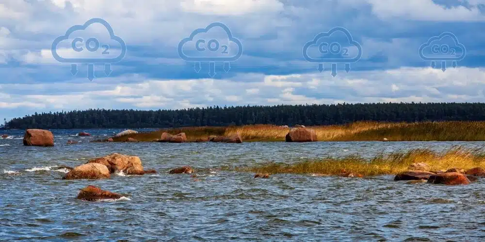 ocean carbon dioxide removal