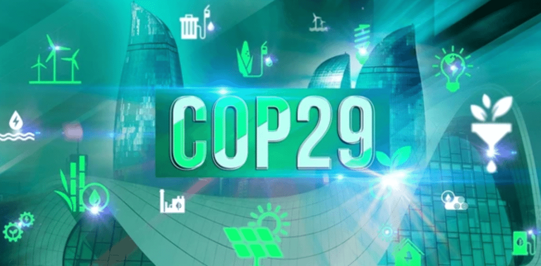 COP29 Key Outcomes - Milestones, Setbacks, and What Comes Next for Global Climate Action