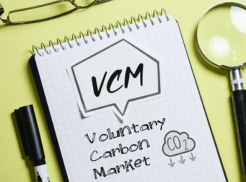 VCM Demand Surge, 147 Million Credits in 2024 Retired Amid Tightening Supply