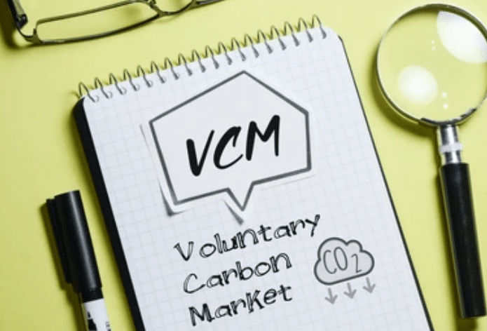 VCM Demand Surge: 147 Million Credits in 2024 Retired Amid Tightening Supply