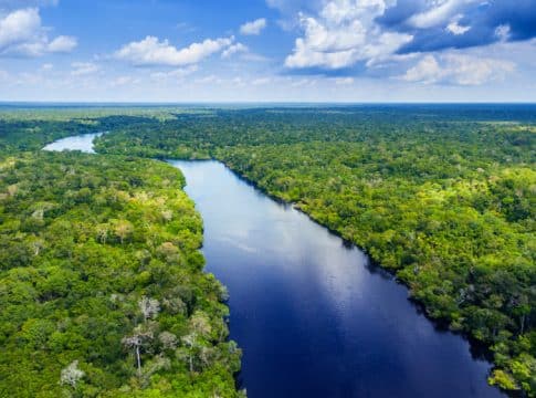 Amazonas Brazil Verra