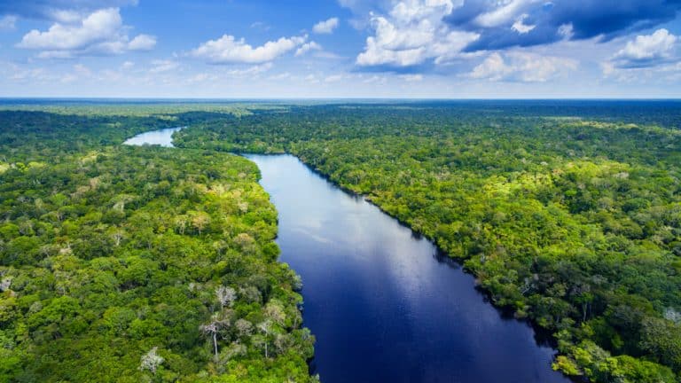 Verra Partners with the State of Amazonas to Boost Regional Carbon Markets