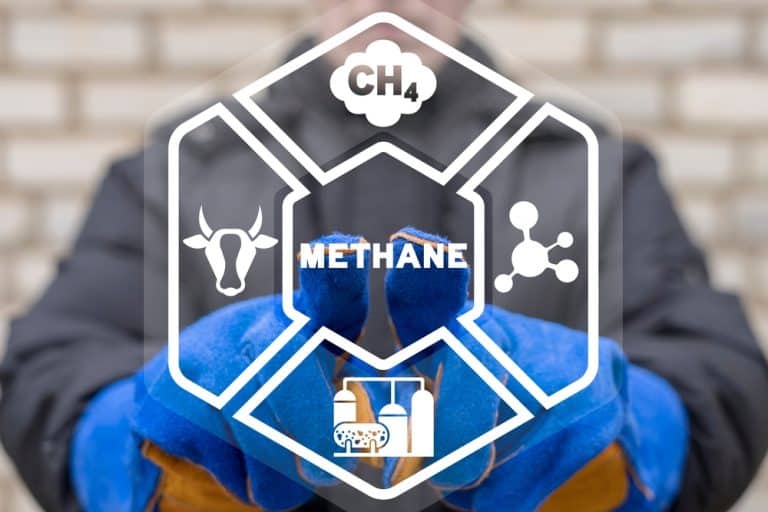 COP29: Launch of “An Eye on Methane”, Will Pledges Turn into Progress?