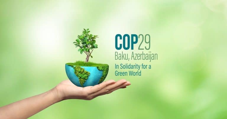 Article 6.2 at COP29: Singapore Partners with Gold Standard and Verra to Advance Climate Action