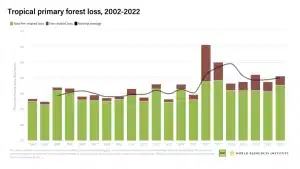 tropical primary forest loss 2002-2022