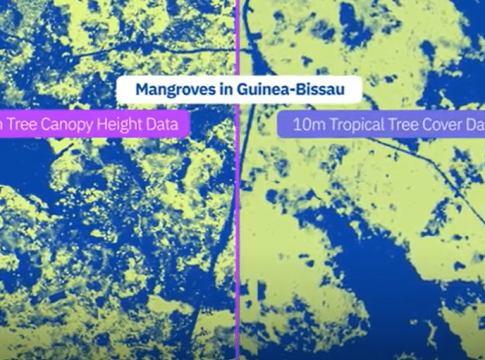 Meta and WRI Unveiled AI-Powered Global Tree Canopy Map