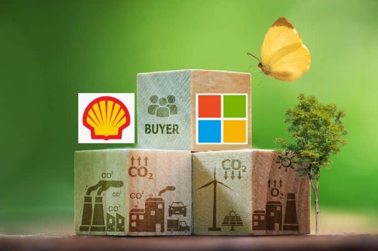 Shell and Microsoft Are The Biggest Carbon Credit Buyers in 2024: What Projects Do They Support?