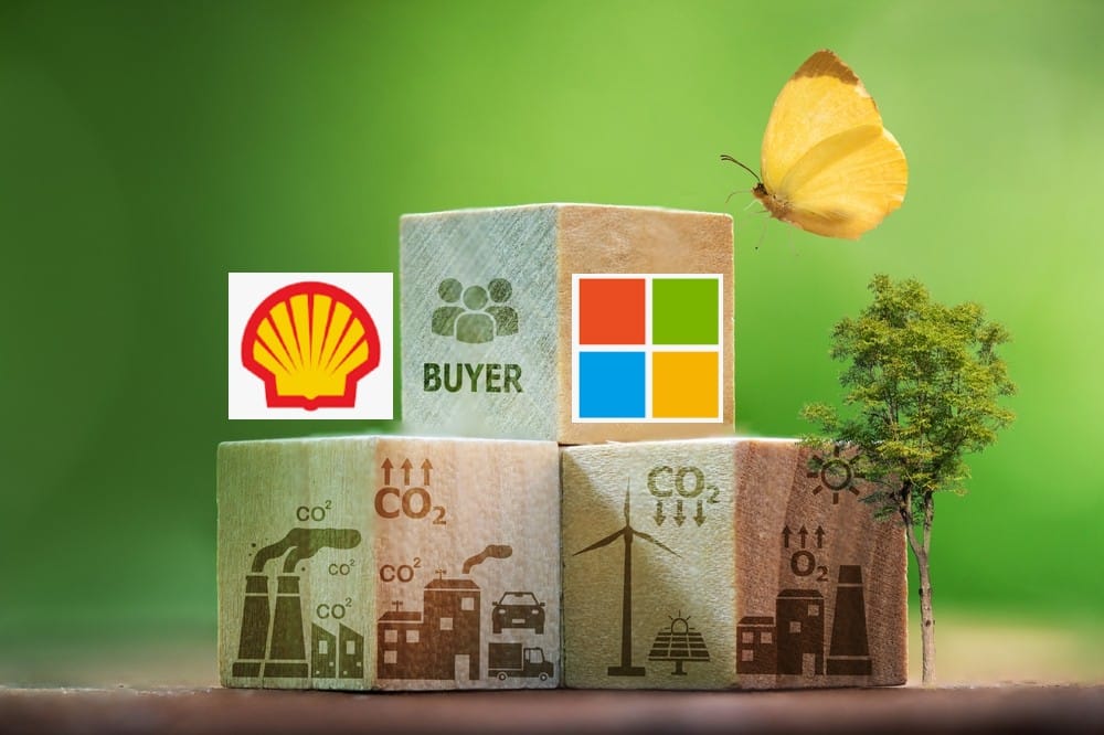 Shell and Microsoft Are The Biggest Carbon Credit Buyers in 2024, What Projects Do They Support?