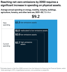 net zero emissions 2050 McKinsey