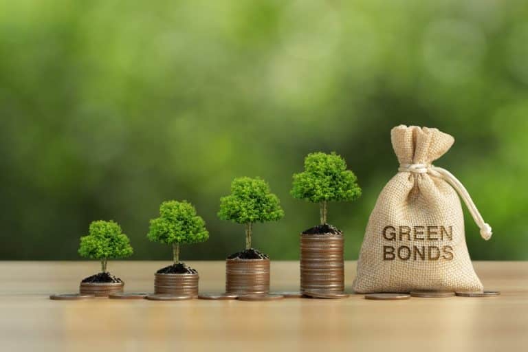 Sustainable Bonds in 2025 Could be A $1 Trillion Market, Moody Says
