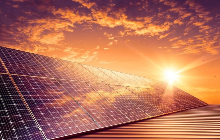 Global Solar Growth to Stabilize at 493 GW in 2025, Predicts Wood Mackenzie