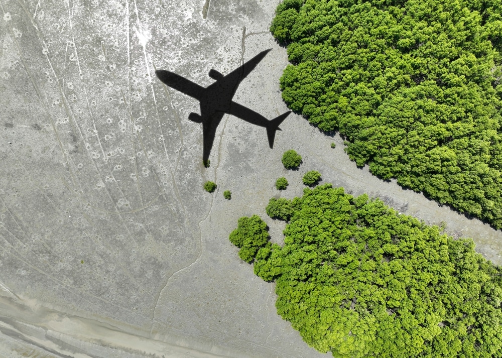 aviation sustainable