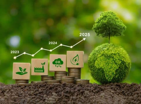 Carbon Credits in 2024: What to Expect in 2025 and Beyond (Up to $250B by 2050)