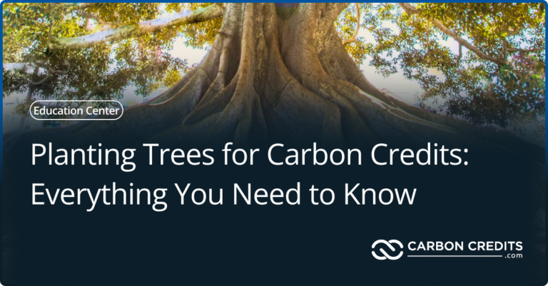 Planting Trees for Carbon Credits: Everything You Need to Know