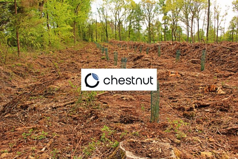 Chestnut Carbon Lands $160M to Supercharge Nature-Based Carbon Credit Market