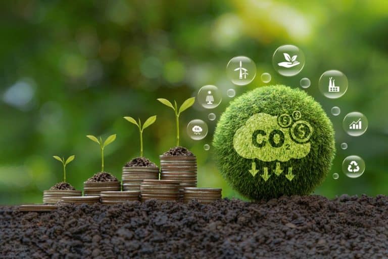 Carbon Markets in 2025: A New Era of Accountability, Quality, and Transparency